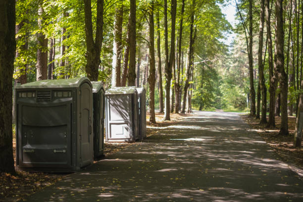 Best Local porta potty services  in Le Roy, IL